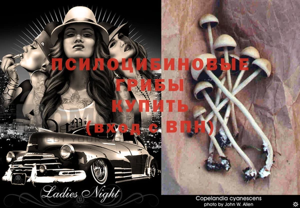 MDMA Premium VHQ Вяземский