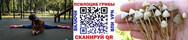 Псилоцибиновые грибы прущие грибы Тула